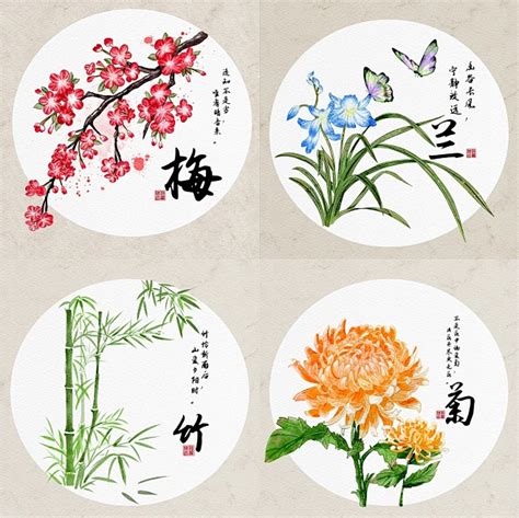 四季代表物|花中四君子